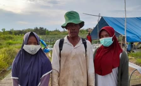 Warga Cempaka Banjarbaru ini mengaku bahagia menjadi petani cabe, menambah ekonomi keluarga.